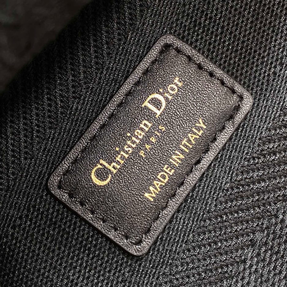 D10r Medium Lady D-Lite Bag