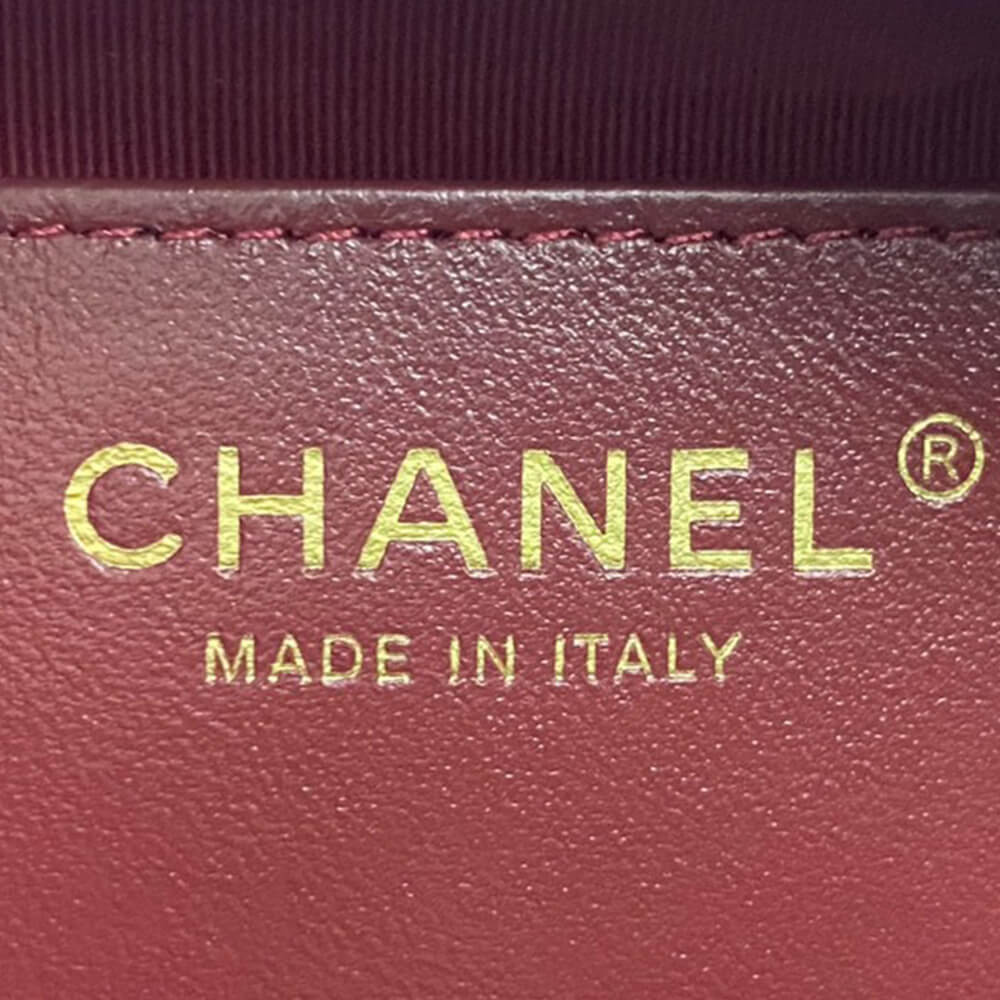 Ch**el Mini Camera Case