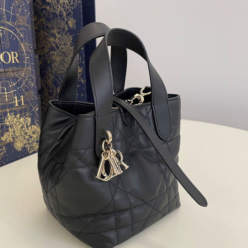 D10r Toujours Vertical Nano ToteBag(high-end grade)